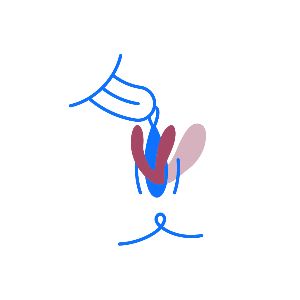 Imagen del producto 2